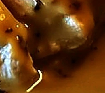 Crockpot Chicken & Gravy