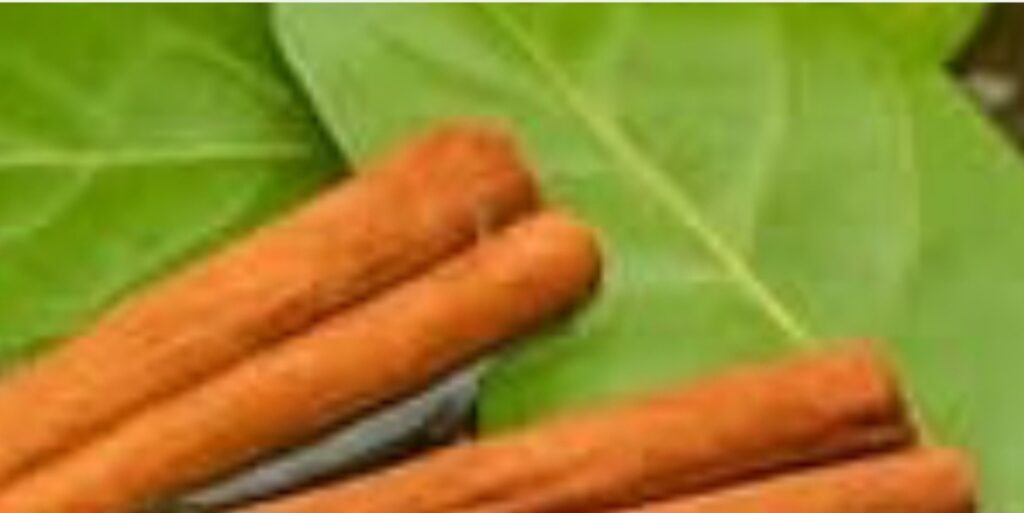 A Natural Kidney Treatment That May Restore Function and Remove Kidney Stones