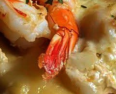 Creamy Shrimp Alfredo Lasagna Recipe