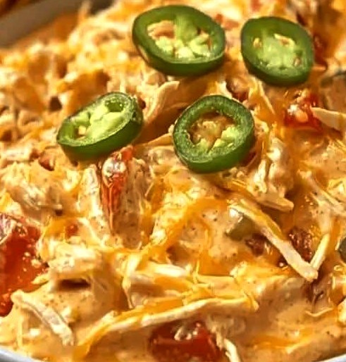 Famous Chicken Rotel Dip Recipe