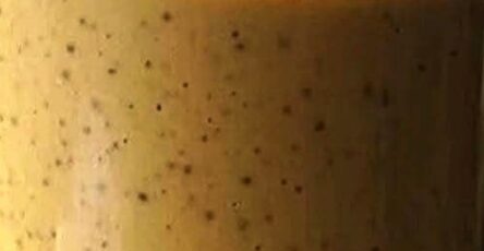 Almond Joy Bliss Smoothie Recipe