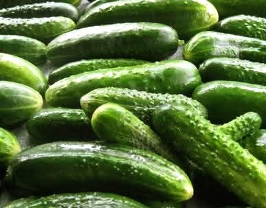 Did You Know? 8 Amazing Health Benefits of Cucumbers!