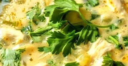 Crock Pot Green Enchilada Chicken Soup Recipe
