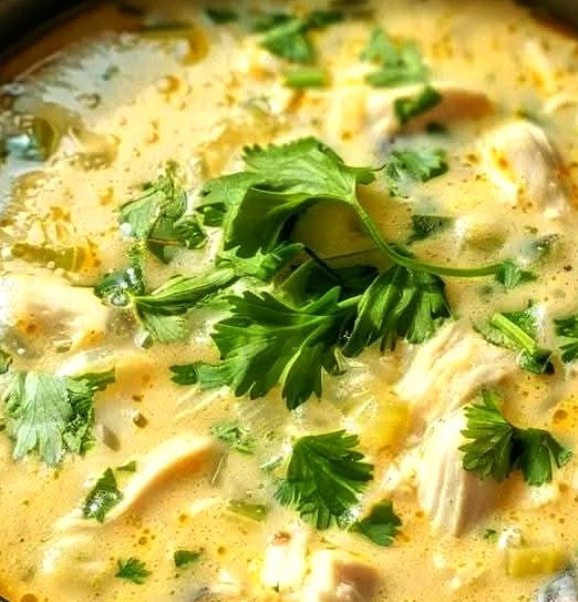 Crock Pot Green Enchilada Chicken Soup Recipe
