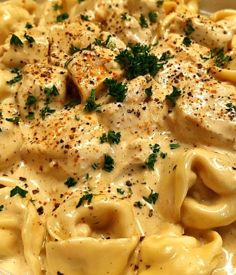 Crockpot Creamy Chicken Alfredo Tortellini