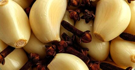 L’Ail et le Clou de Girofle