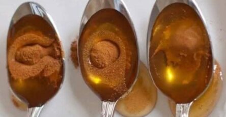 Amazing Health Benefits You Need to Know