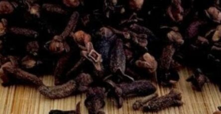 Natural Antibiotic Is 200 Times Stronger – Cloves, Cinnamon, and Bay Leaves!