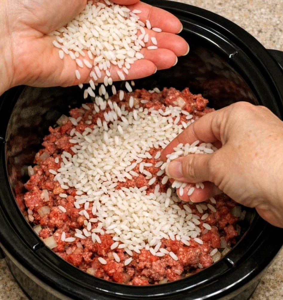 Slow Cooker 5 Ingredient Beef and Rice Hash